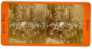 Yosemite California CA - ACAMPAR EN PARQUE NACIONAL - c1870s Stereoivew - Imagen 1 de 2