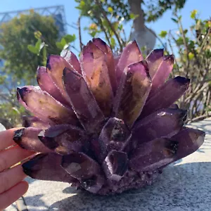 Pietra di roccia minerale guarigione cristallo a grappolo quarzo ametista naturale 11 libbre - Foto 1 di 8