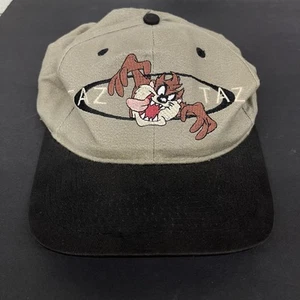 Vintage 90s Looney Tunes Taz Warner Bros SnapBack Embroidered Hat - Picture 1 of 5