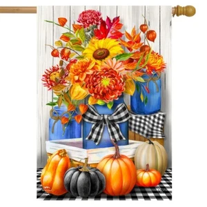 BRIARWOOD LANE Ärmel Hausflagge 28x40 HERBST EINMACHGLÄSER Kariert Kürbis Herbst - Bild 1 von 3