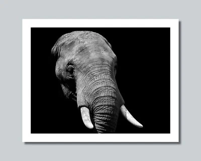 Africa Savanna ELEPHANT Photo Picture 8x10 11x14 16x20 w/Framed Option (W4) - Image 1 of 4