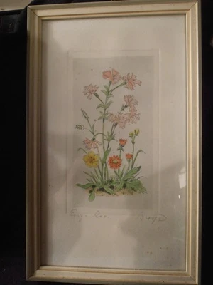 Schöne Originale Radierung, Signiert, Feldblumen, Gartenblumen, 50er Jahre - Bild 1 von 4