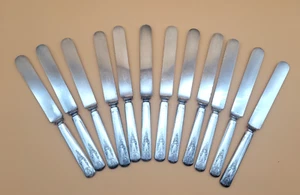 Old Colony Blunt Solid Knife Vintage 1847 Roger Brothers 12 Pieces - Picture 1 of 9