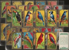 IMPERIAL TOBACCO CO CANADA-FULL SET- GAME BIRD SERIES 1925 (30 CARDS)
