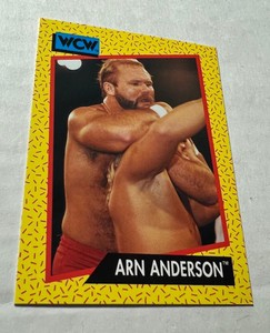 1991 Impel WCW #53 Arn Anderson Wrestling Card
