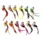 12Pcs Feathered Birds Artificial Bird Statues for home and