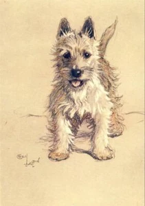 Imagen fotográfica reimpresión Cecil Aldin Westie Dog A Dozen Dogs or So 1928 - Imagen 1 de 6