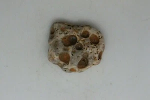 Adder Stone - "Witch's / Hag Stone" - AS-3 - Picture 1 of 3
