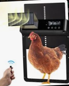 LEMBERI Porta Pollaio Automatico, Porta Pollaio ad Energia Solare - Foto 1 di 7