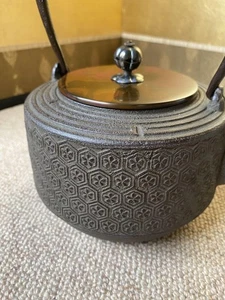 Japanese Iron Kettle Teapot 8.2 in tall Tetsubin Turtle Pattern Tea Ceremony - Picture 1 of 9