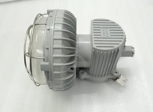 ZHRT Lampe antidéflagrante longue durée sans électrode Lumière BF28630 - Photo 1/9