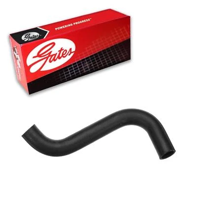 Gates Radiator Coolant Hose Lower For 1999 Chevrolet Malibu 2.4L L4 GAS - Imagem 1 de 3