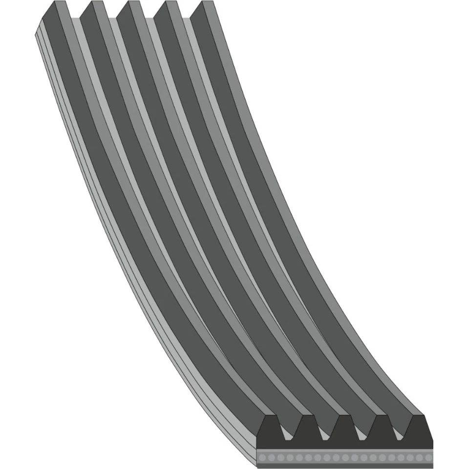 febi bilstein 46529 Keilrippenriemen für RENAULT TRUCKS FORD ESCORT CLASSIC GAL - Bild 1 von 1