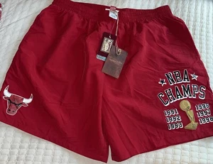 Pantaloncini Mitchell & Ness NBA Team Chicago Bulls Champions nylon tessuto rete L nuovi con etichette - Foto 1 di 5