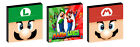 MARIO AND LUIGI SET OF 3 WALL ART PLAQUES/CANVAS PICTURES