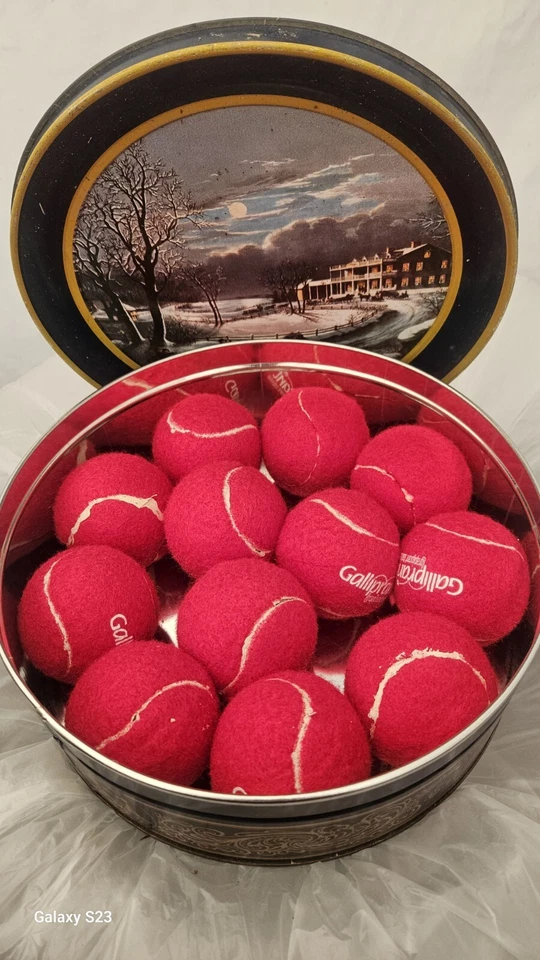 12 pelotas de tenis de juguete para perros Foto 1 de 1