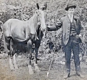 PRINCIPIOS DE 1900 FOTO REAL POSTAL - HOMBRE POSANDO CON CABALLO - 3,5" X 5,5"  - Imagen 1 de 3
