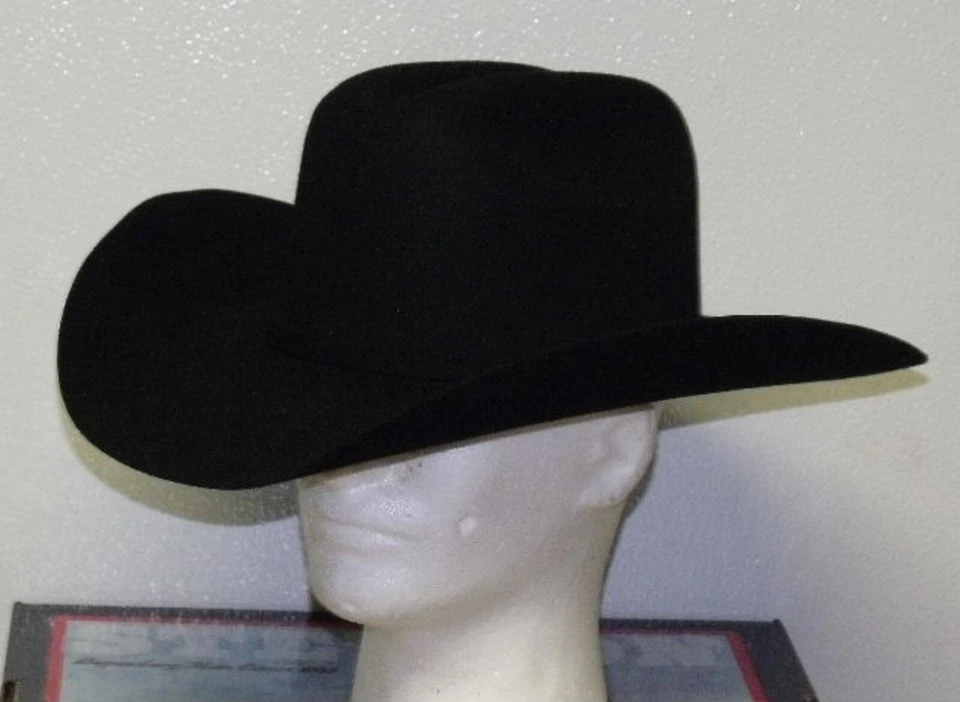 SOMBRERO VAQUERO WESTERN STETSON APACHE LANA BÚFALO Foto 1 de 4