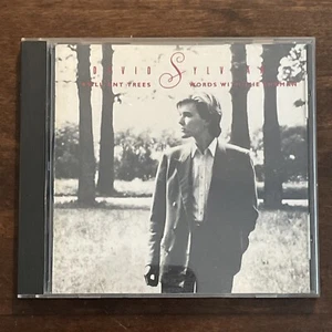 Brilliant Trees/Words with the Shaman by David Sylvian (CD, Aug-1991, Blue READ - Picture 1 of 6