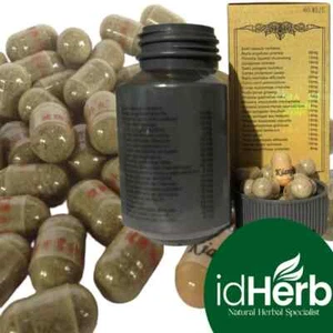 1 Box Original Suplemen Weight Gain Increase Appetit GINSENG PILL - BESTDEAL - Picture 1 of 6