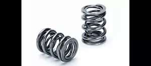 Supertech SPR-H1021D Dual Valve Springs Kit Honda F20C F22C K20A2 K20Z1 K20Z3 - Bild 1 von 3
