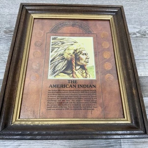 "The American Indian" Wood Framed Indian Head Pennies 10 Coins Set Wall Mount - Picture 1 of 5