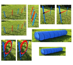 Agility XXXL Parcours Hürde Slalom Reifen Hundetunnel Dog activity Hundetraining - Bild 1 von 9