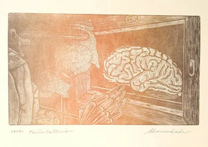 Holzstich Original FREIHEITSILLUSION von Robert Schanzenbacher - Picture 1 of 2