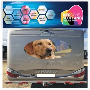 ADESIVI GRAFICI GOLDEN LABRADOR 1000MM CAMPER CARAVAN HORSEBOX CAMPER - Foto 1 di 2