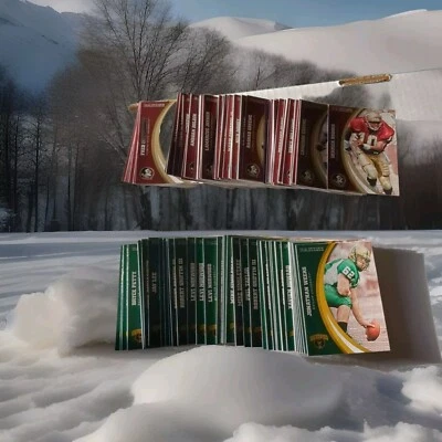 2015 Florida State;2016 Baylor Team Collection Football💥You Pick💥SALE SALE - Image 1 of 4