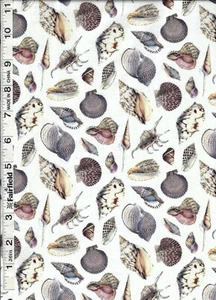 Cream Coastal Living Shells by Timeless Treasures bty - Picture 1 of 1