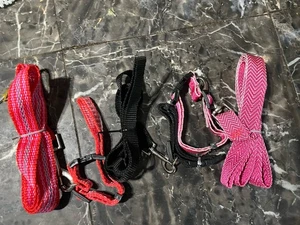 Small Dog Collar/leash Set, Lot Of 3 - Picture 1 of 4