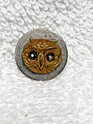 Victorian Picture Button 3D Owl  w Marcasite Eyes Just Shy of 3/4"  Wiccan Cover