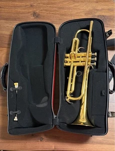 Tromba personalizzata Yamaha YTR-8310Z con custodia - Foto 1 di 13