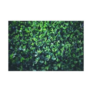 Green Plant Screen Backdrop Decor Photographic Background 5x3ft