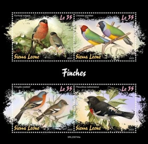Finches Birds MNH Stamps 2023 Sierra Leone M/S - Picture 1 of 1