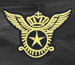 ROYAL AIR FORCE AVIATOR EMBLEM MILITARY GOLD INSIGNIA IRON ON PATCH 2.0 X 3.0" - Picture 1 of 6