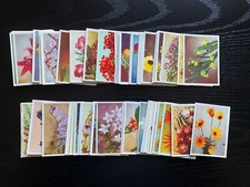 UNITED TOBACCO - OUR SOUTH AFRICAN FLORA (L SIZE) - FULL SET OF 100 LARGE CARDS