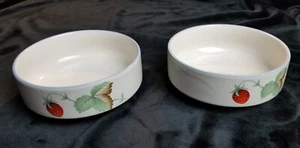 Cuencos Savoir Vive deliciosos de frutas/postres (salsa) (juego de 2) COMO NUEVOS  - Imagen 1 de 11