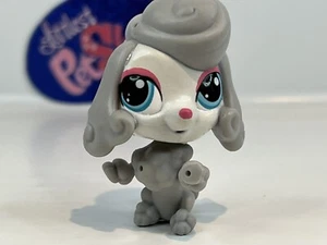 PIA PUDLEY POODLE DOG #3849 - Authentic Littlest Pet Shop - Hasbro LPS - Picture 1 of 4