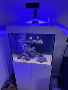 juwel aquarium lido 120 inklusive Red Sea ReefLED - Bild 1 von 2