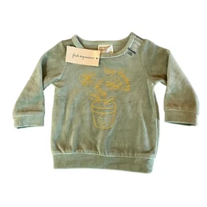 First Impressions Baby Girls Size 3-6 Months Green Keep Blooming Velour Top NWT - Picture 1 of 5