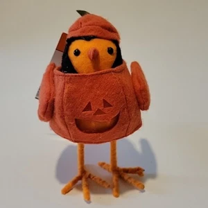Hyde & Eek Bird FEATHERLY FRIENDS Carver Pumpkin Halloween HUNTINGTON HOME Aldi - Picture 1 of 19