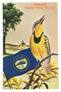 Meadowlark Vogel Nebraska Staatsflagge NE Postkarte ca. 1970er UNP Ulme Goldrute - Bild 1 von 2
