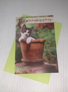 Tarjeta de agradecimiento Hallmark: gato en maceta apareciendo para decir que realmente hiciste mi día - Imagen 1 de 5