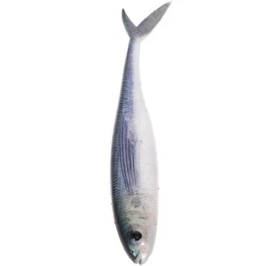Appât De Thon À Poisson Réutilisable Outil Pêche Pour La En Mer - Photo 1/12