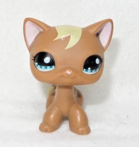 LITTLEST PET SHOP LPS #1170 HASBRO CAT CHAT EUROPEEN MARRON & BEIGE YEUX BLEUS - Imagen 1 de 5