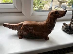 Brown Long Haired Dashhound - Picture 1 of 3