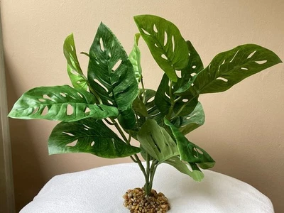 12 x 12 «сплит лист PHILO BUSH шелк филодендрон аквариум растение, камень основание, золото - Изображение 1 из 4