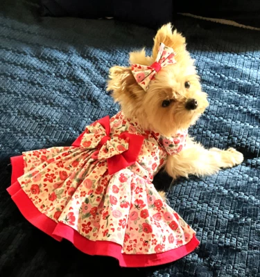 VESTIDO ARNÉS PERRO ROSA CALIO / LAZO PELO A JUEGO ENVÍO GRATUITO Foto 1 de 2